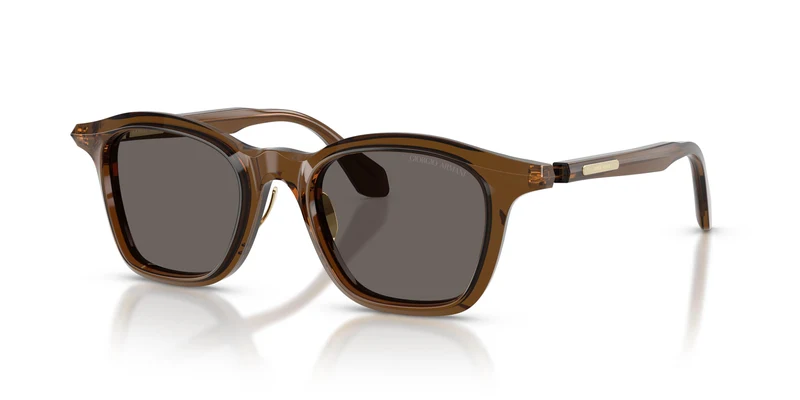 Giorgio Armani AR8257 642453 48