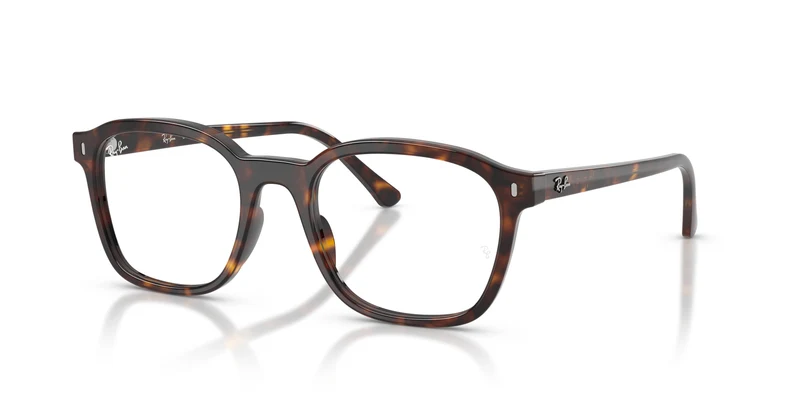 Ray-Ban RX5460 2012 50