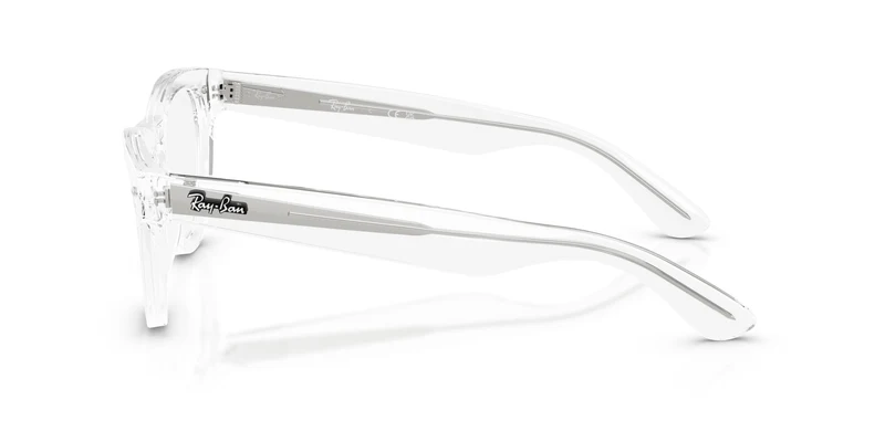 Ray-Ban RX5510 2001 50