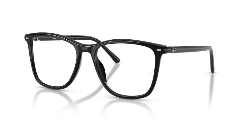 Ray-Ban RX5455 2000 52