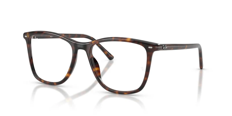 Ray-Ban RX5455 2012 54