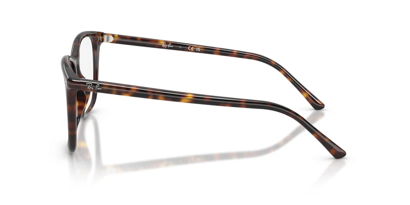 Ray-Ban RX5455 2012 52