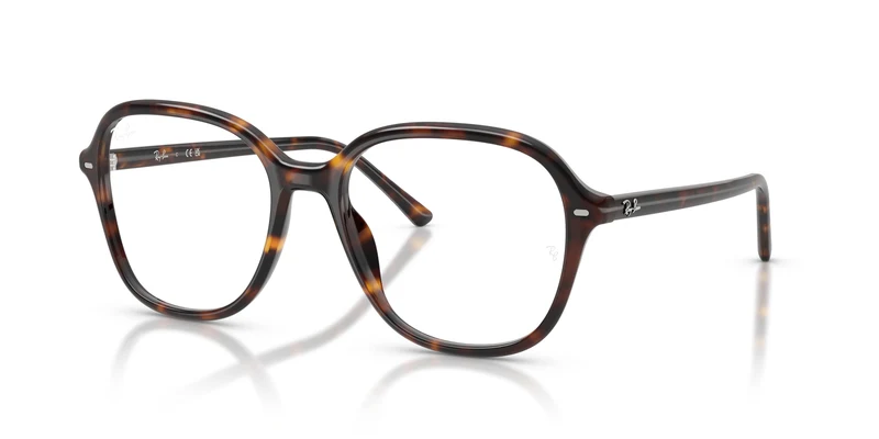 Ray-Ban RX5456 2012 56
