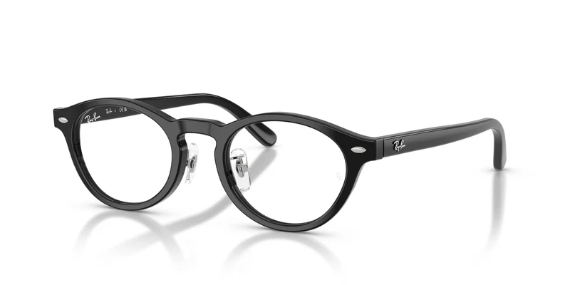 Ray-Ban RX5457D 2000 48