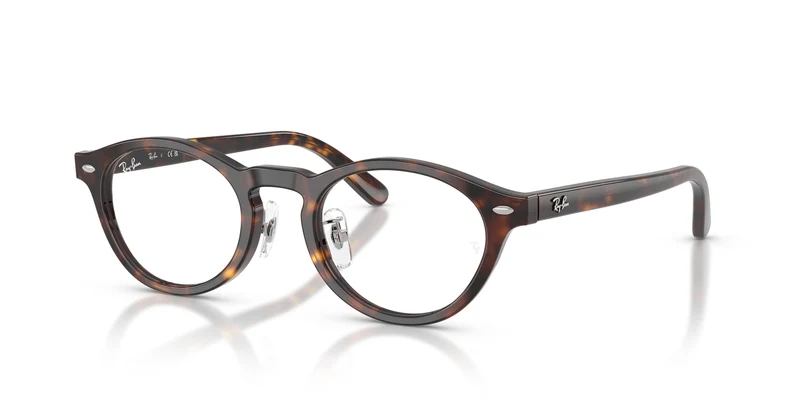 Ray-Ban RX5457D 2012 48