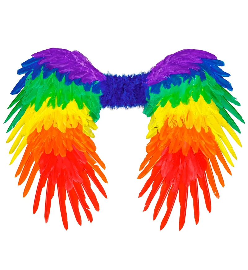 Veren vleugels regenboog opvouwbaar 80x60 cm