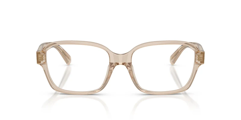 Tiffany TF2303U 8445 53