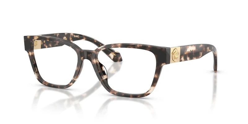 Versace VE3401U 5498 54