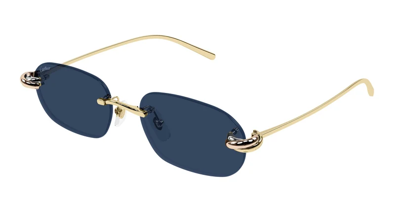Cartier CT0686S 002 55