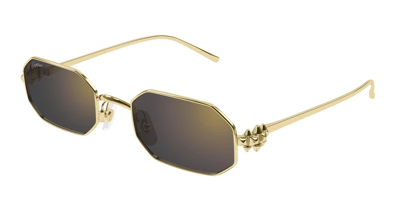 Cartier CT0682S 006 53