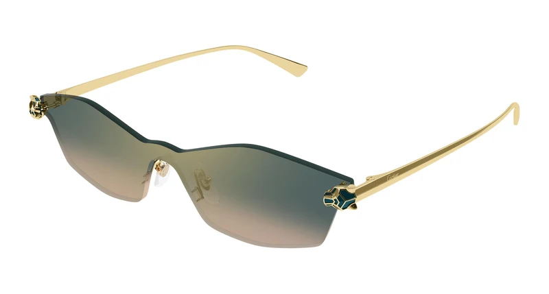 Cartier CT0678S 002 99