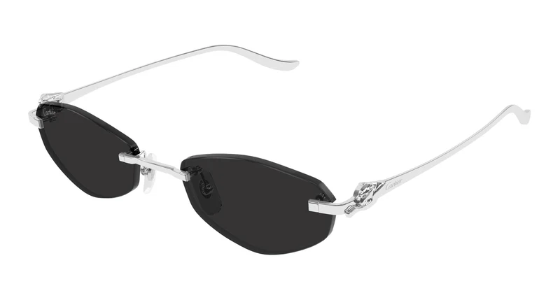 Cartier CT0675S 002 55