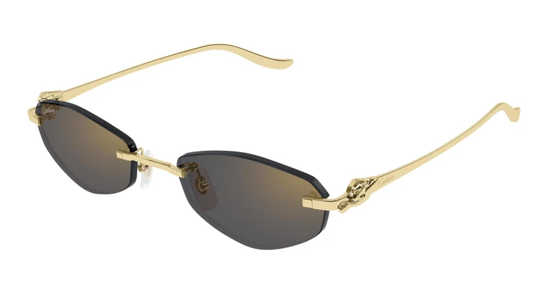 Cartier CT0675S 001 55