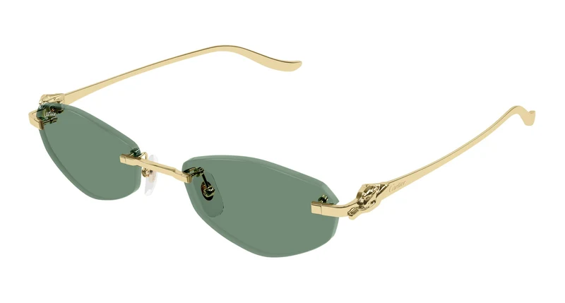 Cartier CT0675S 003 55