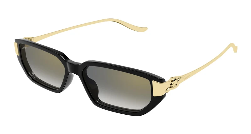 Cartier CT0674S 001 54