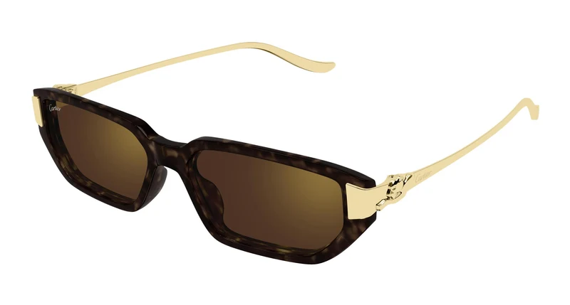 Cartier CT0674S 003 54