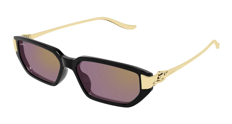 Cartier CT0674S 004 54