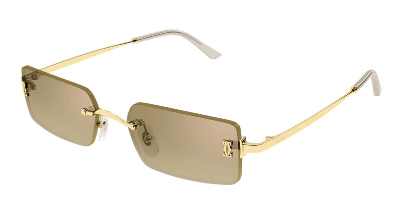 Cartier CT0672S 003 54