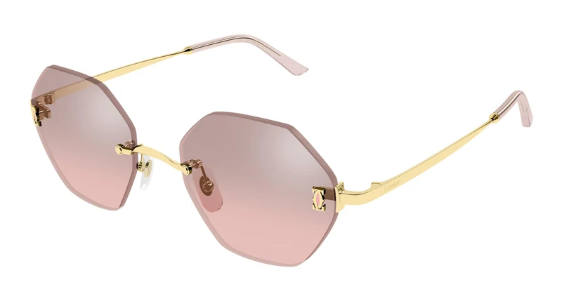Cartier CT0671S 004 54