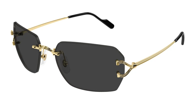 Cartier CT0664S 001 59