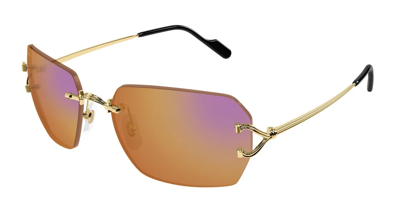 Cartier CT0664S 004 59