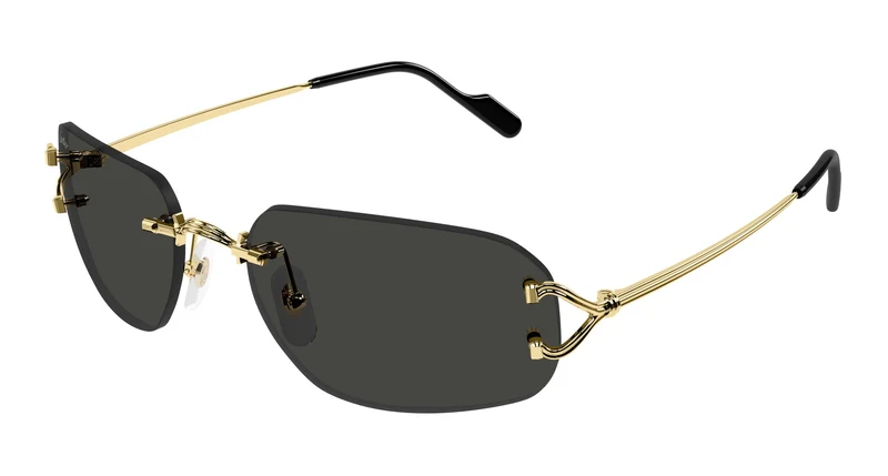 Cartier CT0663S 001 58