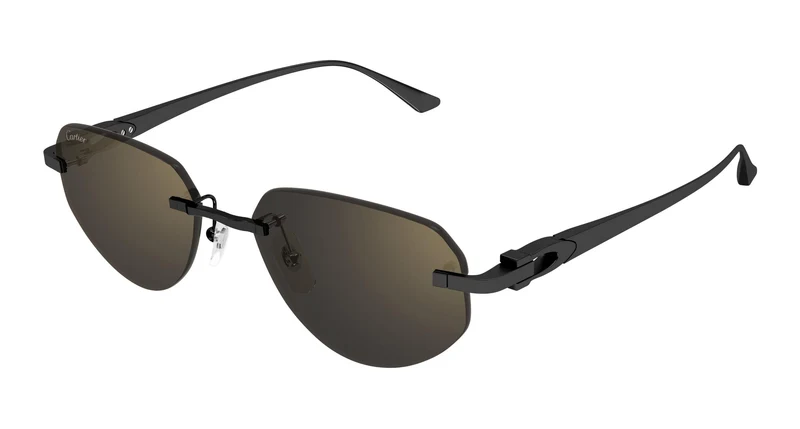 Cartier CT0661S 001 54