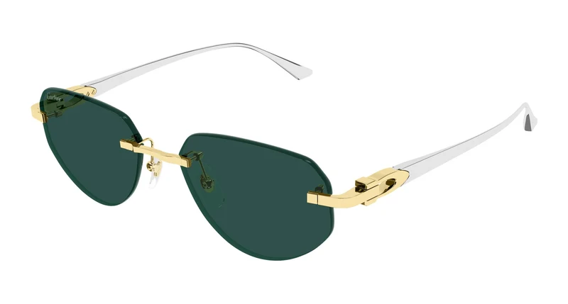 Cartier CT0661S 002 54