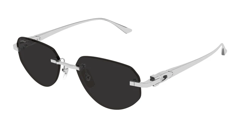 Cartier CT0661S 003 54
