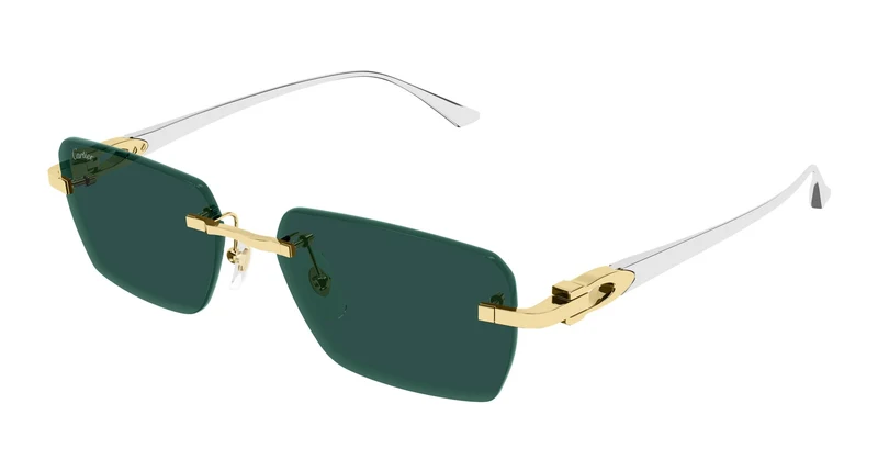 Cartier CT0660S 002 55