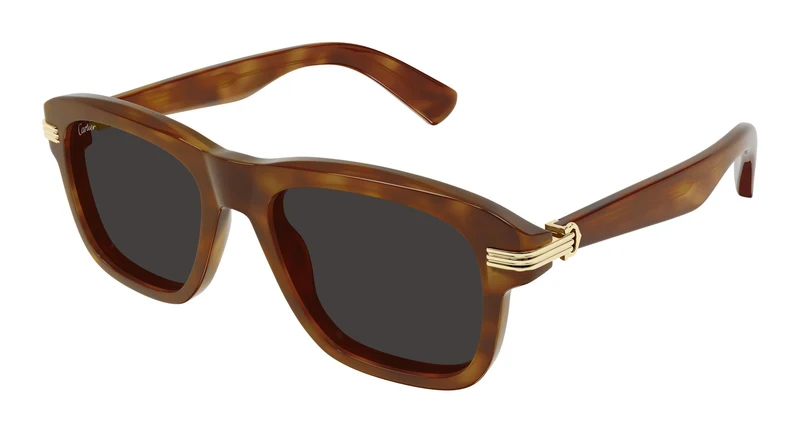 Cartier CT0657S 004 55