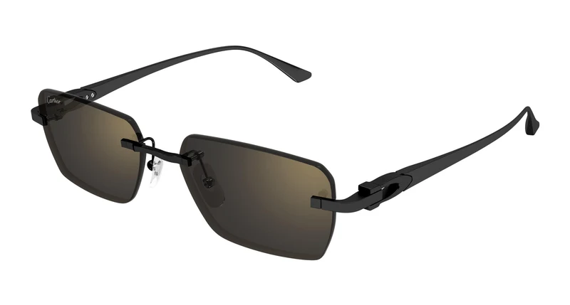Cartier CT0660S 001 55