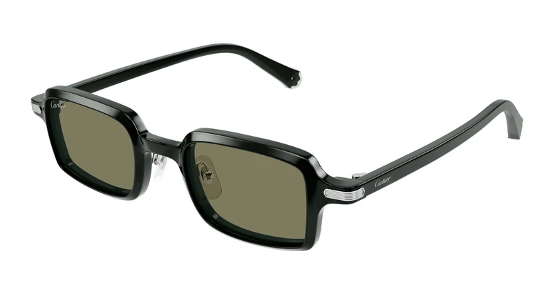 Cartier CT0539S 007 49