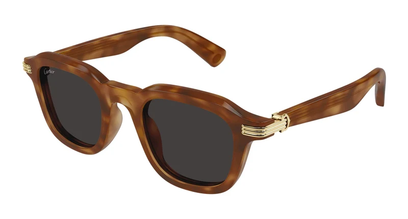 Cartier CT0536S 006 49