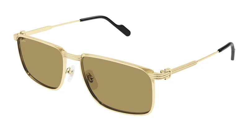 Cartier CT0534S 004 59