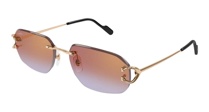 Cartier CT0468S 005 58