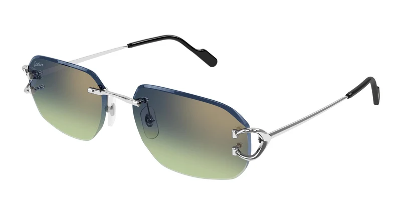 Cartier CT0468S 006 58