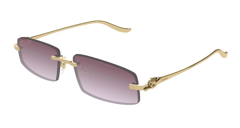 Cartier CT0505S 004 58