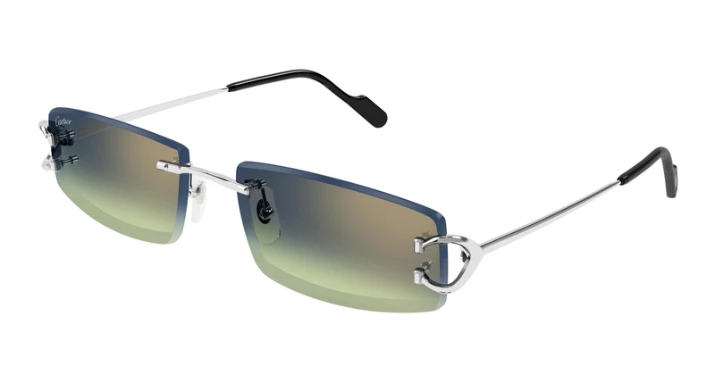 Cartier CT0465S 010 56
