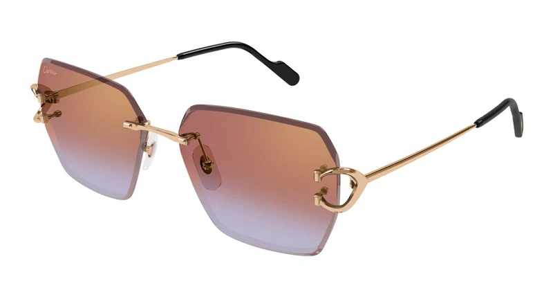 Cartier CT0466S 005 58