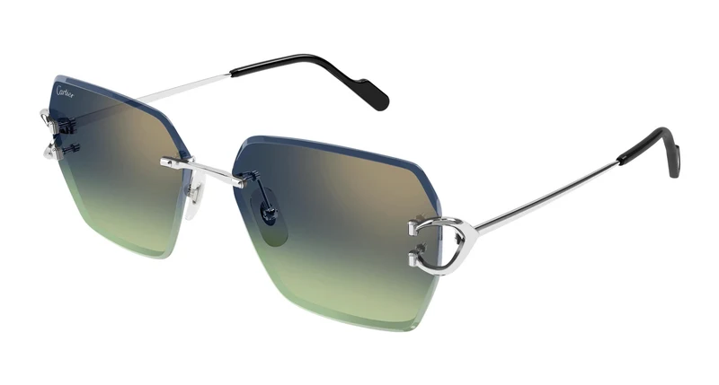 Cartier CT0466S 006 58