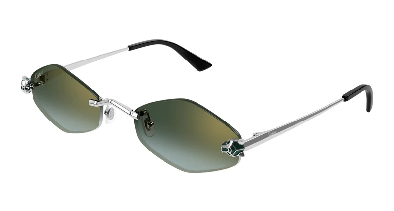 Cartier CT0433S 007 55