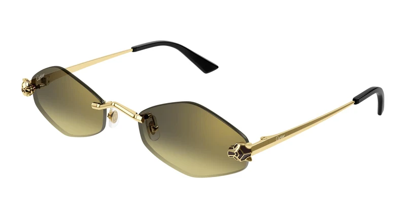 Cartier CT0433S 008 55