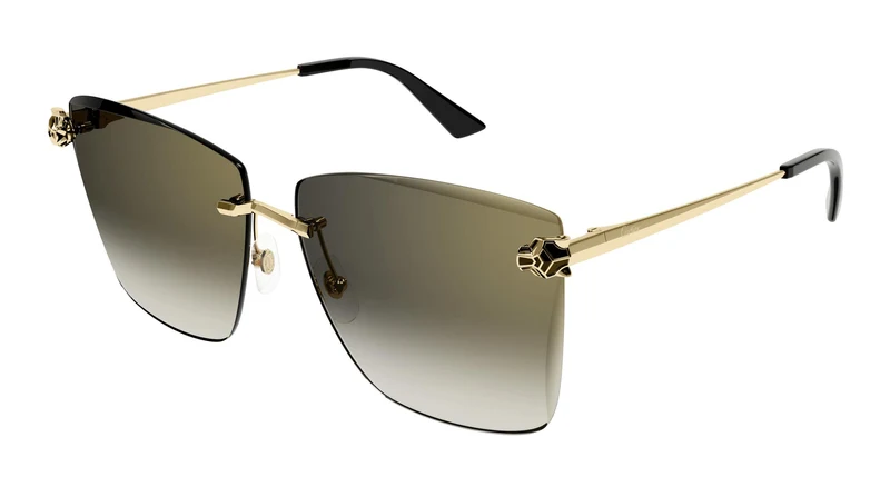 Cartier CT0397S 001 61