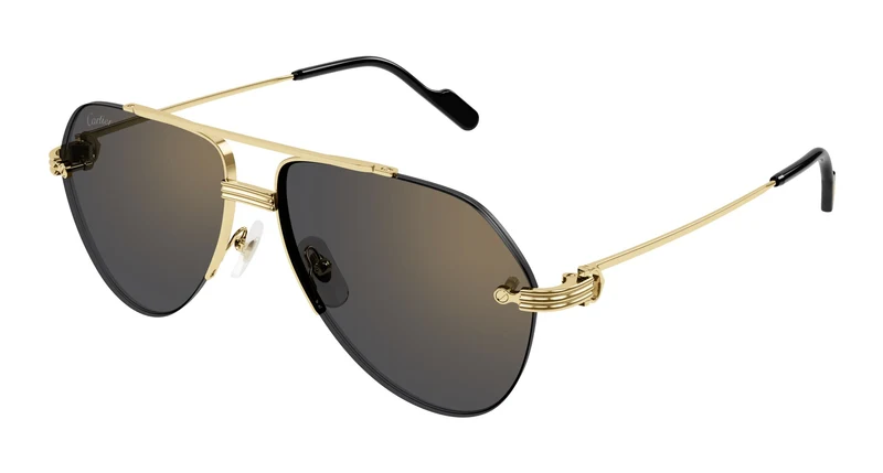 Cartier CT0427S 001 58