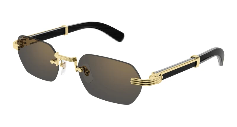 Cartier CT0362S 007 54