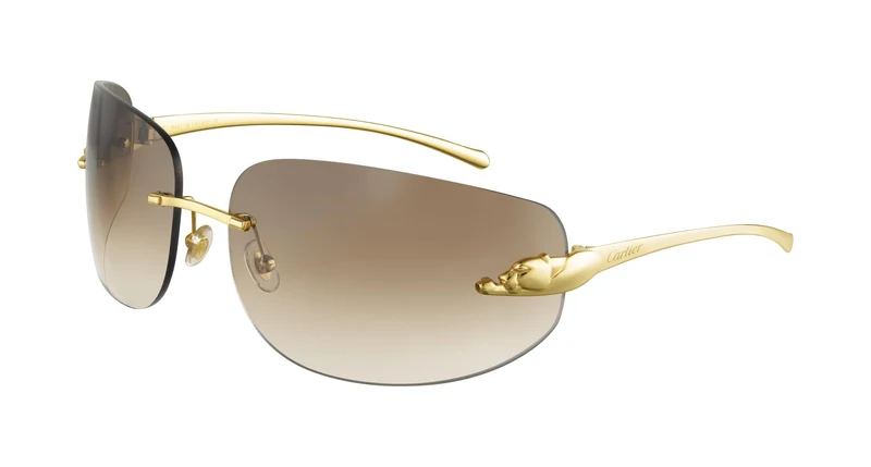Cartier CT0062S 002 72