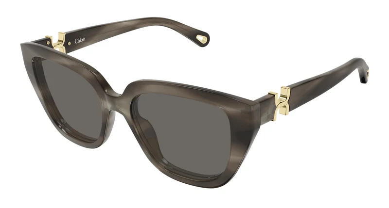 Chloé CH0410S 002 53