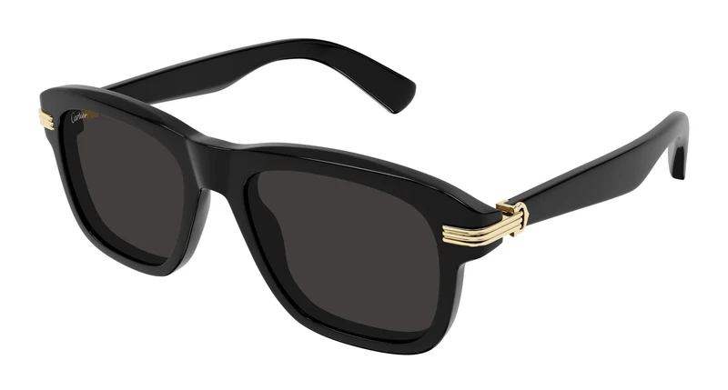 Cartier CT0657S 001 55