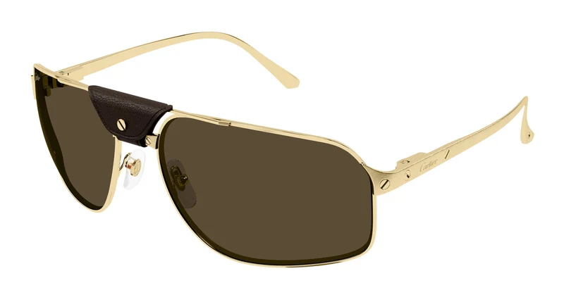 Cartier CT0651S 003 64